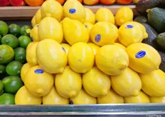Good sized lemons from South Africa were in abundance.